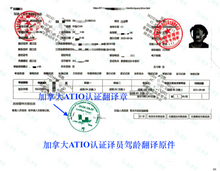 将图片加载到图库查看器,加拿大安省ATIO认证驾照+驾临认证翻译 + 邮寄
