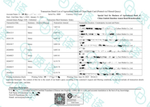 将图片加载到图库查看器,澳洲 NAATI 银行流水翻译