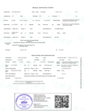 将图片加载到图库查看器,加拿大安省 ATIO 中国出生证明翻译